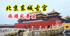 中日韩美女操比高潮视频中国北京-东城古宫旅游风景区